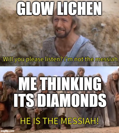 Please Listen I am not the Messiah | GLOW LICHEN; ME THINKING ITS DIAMONDS | image tagged in please listen i am not the messiah | made w/ Imgflip meme maker