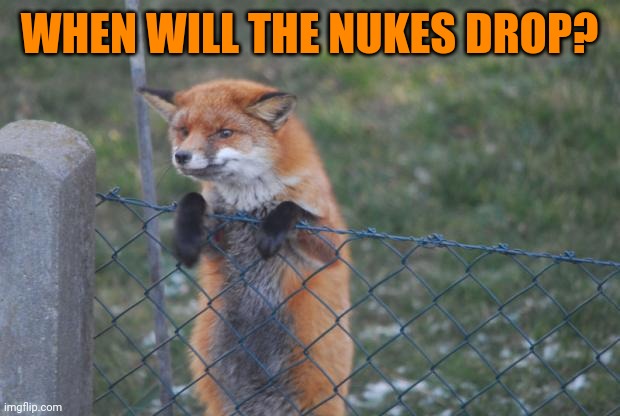 Foxes love nuclear bombs | WHEN WILL THE NUKES DROP? | image tagged in fox wanna buy,foxes,love,nuclear bomb | made w/ Imgflip meme maker