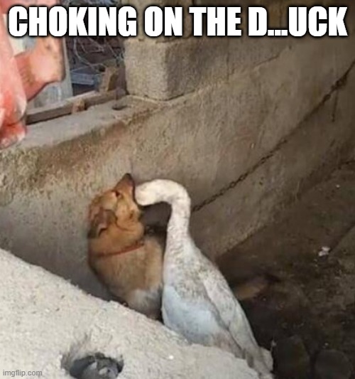 In the Throat | CHOKING ON THE D...UCK | image tagged in unsee juice | made w/ Imgflip meme maker