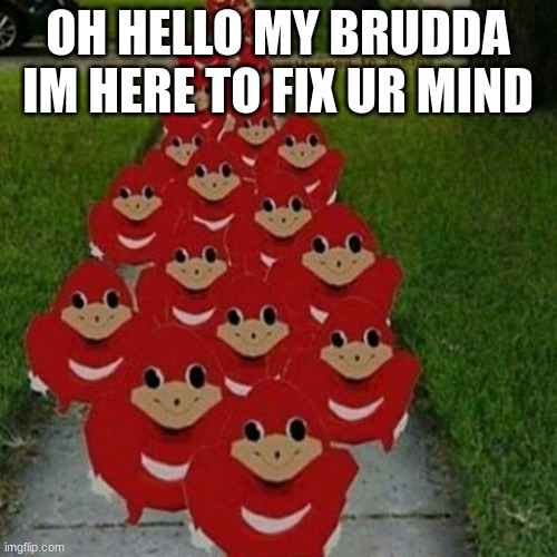 Ugandan knuckles army | OH HELLO MY BRUDDA I'M HERE TO FIX UR MIND | image tagged in ugandan knuckles army | made w/ Imgflip meme maker
