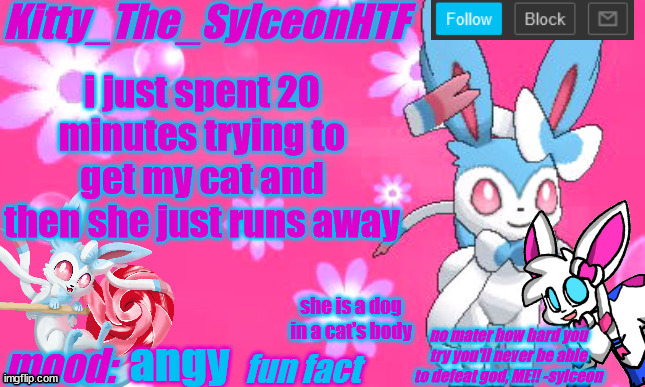 Kitty_The_SylceonHTF's shiny sylveon announcment template! | i just spent 20 minutes trying to get my cat and then she just runs away; she is a dog in a cat's body; angy | image tagged in kitty_the_sylceonhtf's shiny sylveon announcment template | made w/ Imgflip meme maker