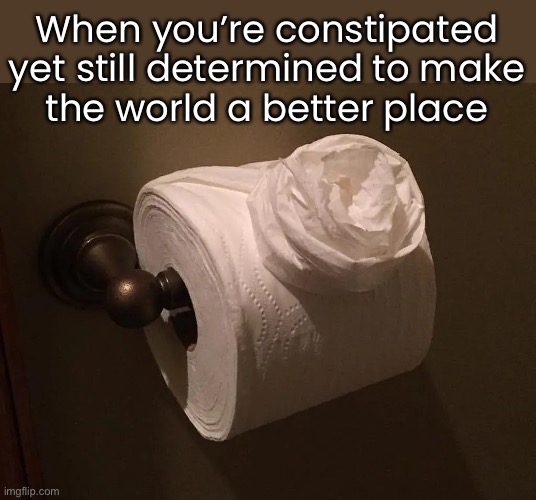 When you’re constipated
yet still determined to make
the world a better place | image tagged in funny memes,toilet paper | made w/ Imgflip meme maker