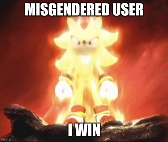 Super Shadow | MISGENDERED USER I WIN | image tagged in super shadow | made w/ Imgflip meme maker