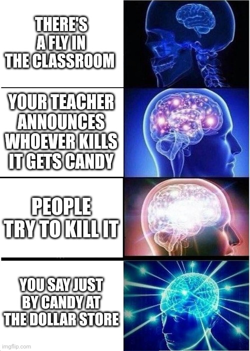 Expanding Brain | THERE'S A FLY IN THE CLASSROOM; YOUR TEACHER ANNOUNCES WHOEVER KILLS IT GETS CANDY; PEOPLE TRY TO KILL IT; YOU SAY JUST BY CANDY AT THE DOLLAR STORE | image tagged in memes,expanding brain | made w/ Imgflip meme maker
