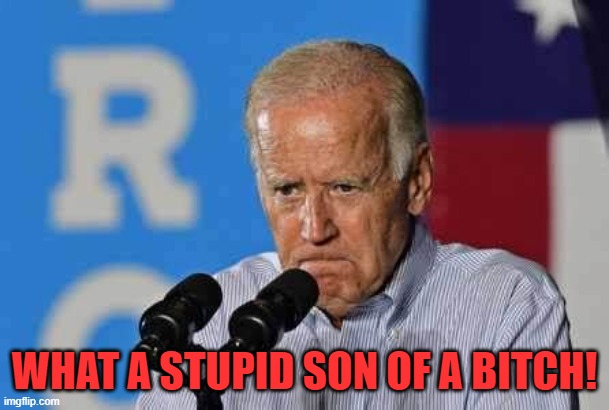 Joe Biden pissed | WHAT A STUPID SON OF A BITCH! | image tagged in joe biden pissed | made w/ Imgflip meme maker