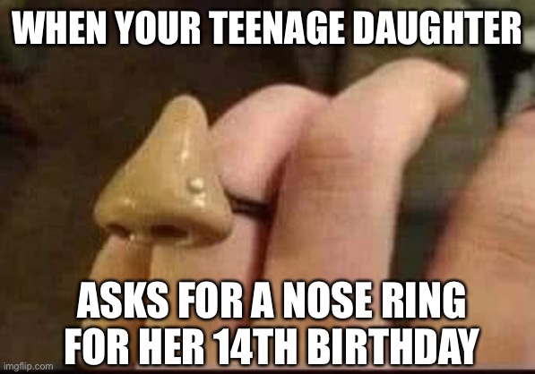 Nose ring | WHEN YOUR TEENAGE DAUGHTER; ASKS FOR A NOSE RING FOR HER 14TH BIRTHDAY | image tagged in nose,ring,nose ring,birthday,teenager,vintage mom and daughter | made w/ Imgflip meme maker