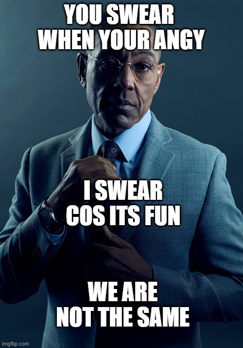 relatable? | YOU SWEAR  WHEN YOUR ANGY; I SWEAR COS ITS FUN; WE ARE NOT THE SAME | image tagged in gus fring we are not the same | made w/ Imgflip meme maker