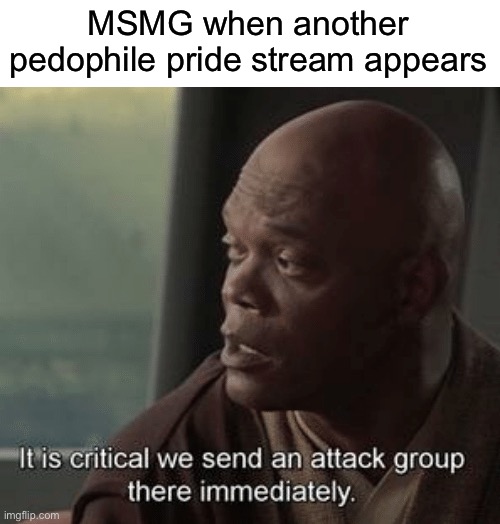 It is critical we send an attack group there immediately | MSMG when another pedophile pride stream appears | image tagged in it is critical we send an attack group there immediately | made w/ Imgflip meme maker