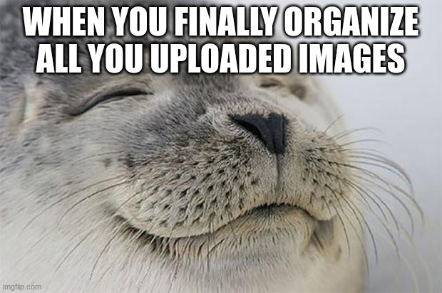 Satisfied Seal | WHEN YOU FINALLY ORGANIZE ALL YOU UPLOADED IMAGES | image tagged in memes,satisfied seal,ocd,intensifies | made w/ Imgflip meme maker