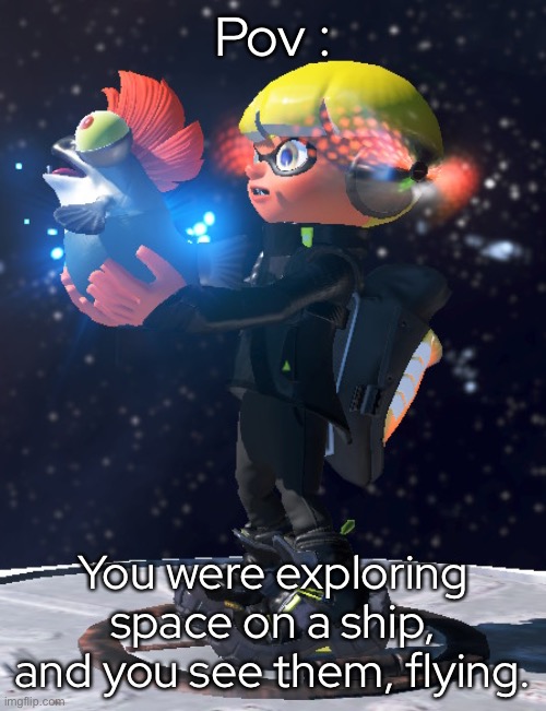No joke, romance, or erp | Pov :; You were exploring space on a ship, and you see them, flying. | made w/ Imgflip meme maker