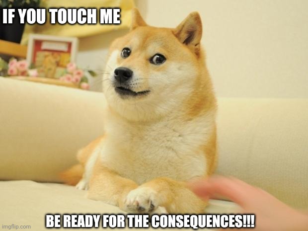 Doge 2 | IF YOU TOUCH ME; BE READY FOR THE CONSEQUENCES!!! | image tagged in memes,doge 2 | made w/ Imgflip meme maker