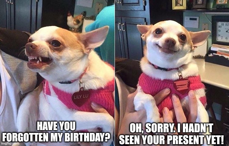 angry dog meme | HAVE YOU FORGOTTEN MY BIRTHDAY? OH, SORRY. I HADN'T SEEN YOUR PRESENT YET! | image tagged in angry dog meme | made w/ Imgflip meme maker