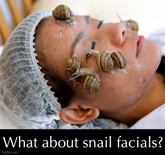 What about snail facials? | made w/ Imgflip meme maker