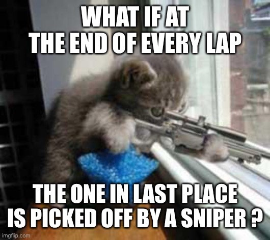 CatSniper | WHAT IF AT THE END OF EVERY LAP THE ONE IN LAST PLACE IS PICKED OFF BY A SNIPER ? | image tagged in catsniper | made w/ Imgflip meme maker