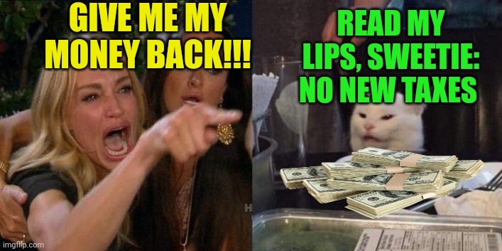 Woman Screaming at Cat | GIVE ME MY MONEY BACK!!! READ MY LIPS, SWEETIE: NO NEW TAXES | image tagged in woman screaming at cat | made w/ Imgflip meme maker