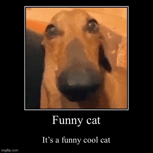 Cool cat | made w/ Imgflip meme maker