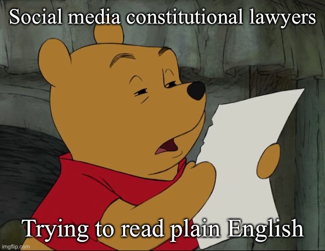 Social media bruh | Social media constitutional lawyers; Trying to read plain English | image tagged in winnie the pooh,lawyers,social media,facebook | made w/ Imgflip meme maker