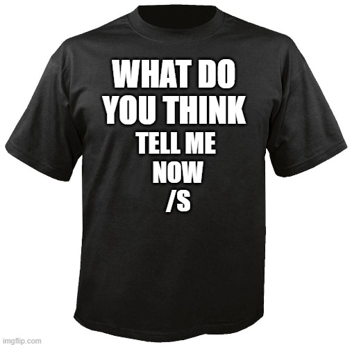 lol | WHAT DO YOU THINK; TELL ME 
NOW
/S | image tagged in blank t-shirt | made w/ Imgflip meme maker