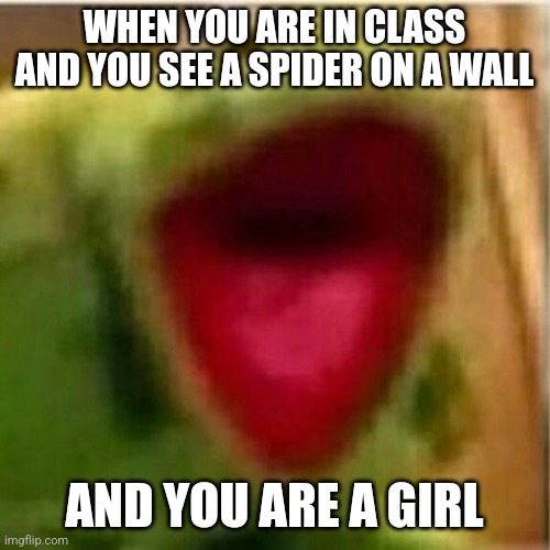 AHHHHHHHHHHHHH | WHEN YOU ARE IN CLASS AND YOU SEE A SPIDER ON A WALL; AND YOU ARE A GIRL | image tagged in ahhhhhhhhhhhhh,school | made w/ Imgflip meme maker