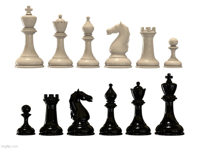 Chess Pieces | image tagged in chess pieces | made w/ Imgflip meme maker