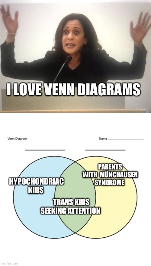 Gender identity is a money making epidemic | I LOVE VENN DIAGRAMS; PARENTS WITH  MÜNCHAUSEN SYNDROME; HYPOCHONDRIAC KIDS; TRANS KIDS SEEKING ATTENTION | image tagged in transgender,liberal logic | made w/ Imgflip meme maker