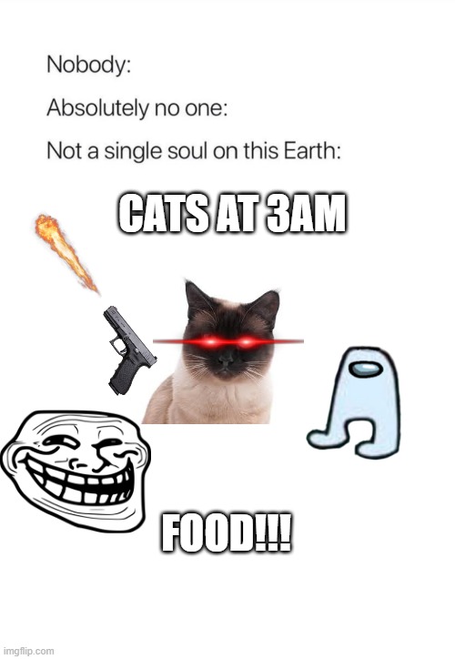 I NEED SLEEEP | CATS AT 3AM; FOOD!!! | image tagged in nobody absolutely no one | made w/ Imgflip meme maker