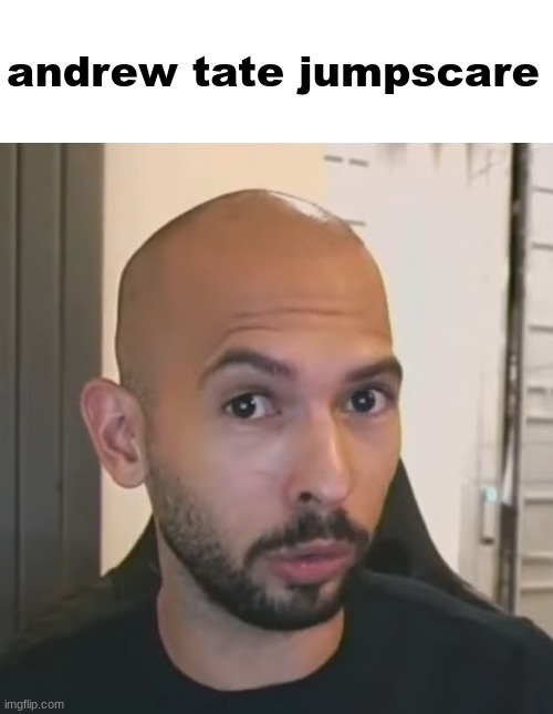 Andrew Tate No Bitches | andrew tate jumpscare | image tagged in andrew tate no bitches | made w/ Imgflip meme maker