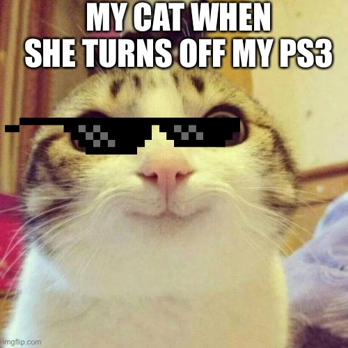 Smiling Cat | MY CAT WHEN SHE TURNS OFF MY PS3 | image tagged in memes,smiling cat | made w/ Imgflip meme maker