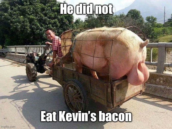 He did not Eat Kevin’s bacon | made w/ Imgflip meme maker