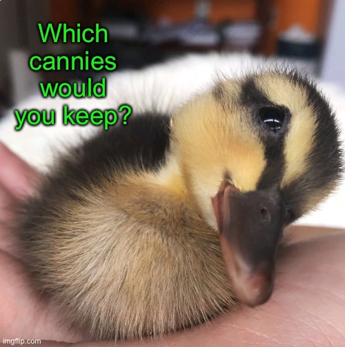 Which cannies would you keep? | made w/ Imgflip meme maker