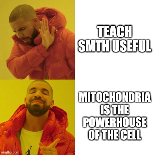 Drake Blank | TEACH SMTH USEFUL; MITOCHONDRIA IS THE POWERHOUSE OF THE CELL | image tagged in drake blank | made w/ Imgflip meme maker