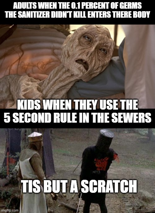Dies of that one germ that entered his body | ADULTS WHEN THE 0.1 PERCENT OF GERMS THE SANITIZER DIDN'T KILL ENTERS THERE BODY; KIDS WHEN THEY USE THE 5 SECOND RULE IN THE SEWERS; TIS BUT A SCRATCH | image tagged in alien dying,tis but a scratch,memes,hand sanitizer | made w/ Imgflip meme maker