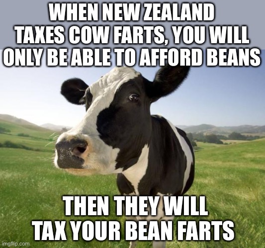 The Dutch government is shutting down the dairy industry also. |  WHEN NEW ZEALAND TAXES COW FARTS, YOU WILL ONLY BE ABLE TO AFFORD BEANS; THEN THEY WILL TAX YOUR BEAN FARTS | image tagged in cow,taxes,climate,new zealand,farts | made w/ Imgflip meme maker