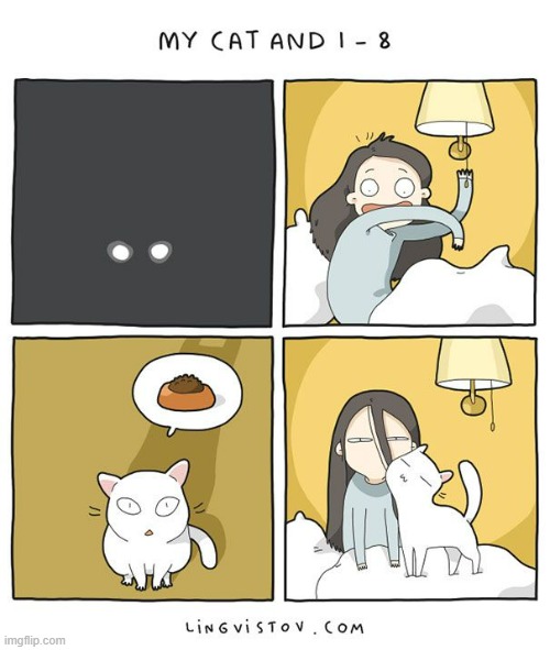 A Cat's Way Of Thinking | image tagged in memes,comics,cats,asleep,wake up,cat food | made w/ Imgflip meme maker