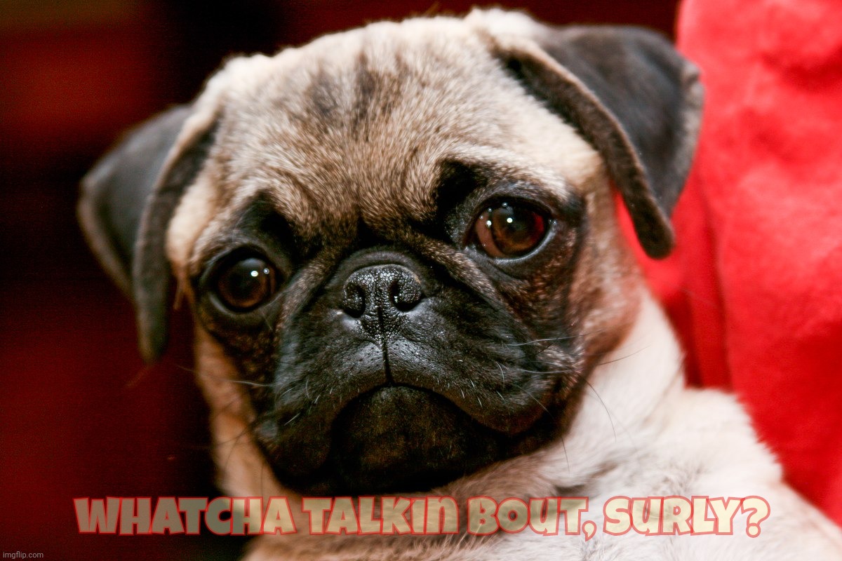 whatcha talkin bout, surly? | made w/ Imgflip meme maker