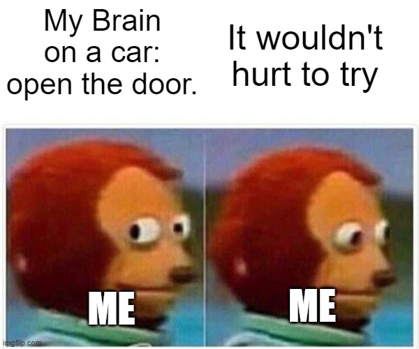 Monkey Puppet Meme | It wouldn't hurt to try; My Brain on a car: open the door. ME; ME | image tagged in memes,monkey puppet | made w/ Imgflip meme maker