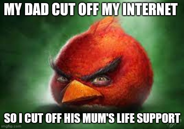 Realistic Red Angry Birds | MY DAD CUT OFF MY INTERNET; SO I CUT OFF HIS MUM'S LIFE SUPPORT | image tagged in realistic red angry birds | made w/ Imgflip meme maker