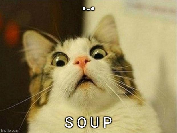 Scared Cat Meme | •-•; S O U P | image tagged in memes,scared cat | made w/ Imgflip meme maker