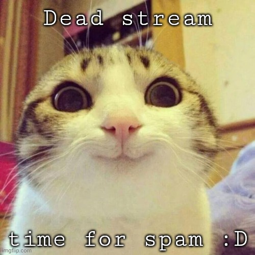 Smiling Cat | Dead stream; time for spam :D | image tagged in memes,smiling cat | made w/ Imgflip meme maker