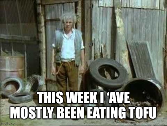 Jesse tofu | THIS WEEK I ‘AVE MOSTLY BEEN EATING TOFU | image tagged in the fast show,tofu | made w/ Imgflip meme maker