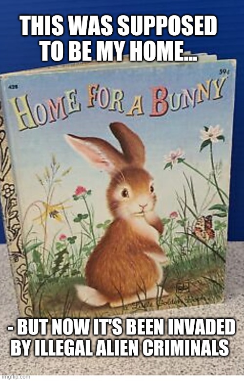 Bunny's home ruined | THIS WAS SUPPOSED TO BE MY HOME... - BUT NOW IT'S BEEN INVADED BY ILLEGAL ALIEN CRIMINALS | image tagged in vote,republican,stop,invasion | made w/ Imgflip meme maker