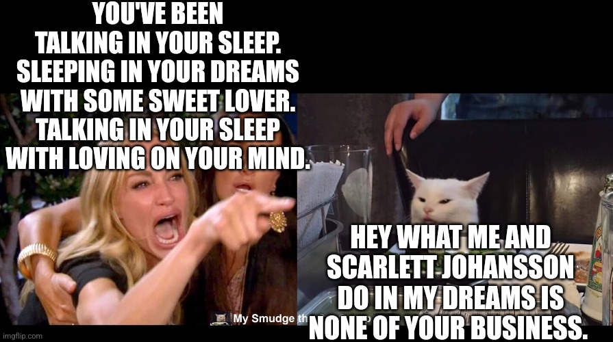 YOU'VE BEEN TALKING IN YOUR SLEEP. SLEEPING IN YOUR DREAMS WITH SOME SWEET LOVER. TALKING IN YOUR SLEEP WITH LOVING ON YOUR MIND. HEY WHAT ME AND SCARLETT JOHANSSON DO IN MY DREAMS IS NONE OF YOUR BUSINESS. | image tagged in smudge the cat | made w/ Imgflip meme maker