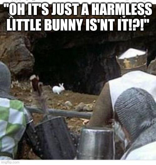 "OH IT'S JUST A HARMLESS LITTLE BUNNY IS'NT IT!?!" | made w/ Imgflip meme maker