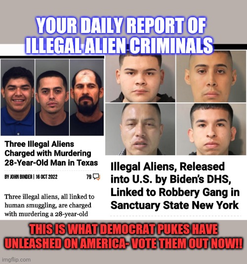 Dems Welcome Killers | YOUR DAILY REPORT OF ILLEGAL ALIEN CRIMINALS; THIS IS WHAT DEMOCRAT PUKES HAVE UNLEASHED ON AMERICA- VOTE THEM OUT NOW!! | image tagged in fire,all,democrats,libtards | made w/ Imgflip meme maker