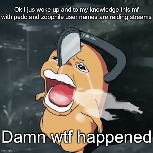 Pochita copper cry | Ok I jus woke up and to my knowledge this mf with pedo and zoophile user names are raiding streams; Damn wtf happened | image tagged in pochita copper cry | made w/ Imgflip meme maker