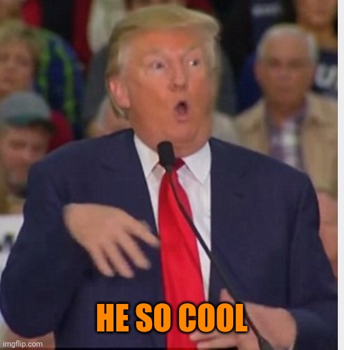 Donald Trump tho | HE SO COOL | image tagged in donald trump tho | made w/ Imgflip meme maker