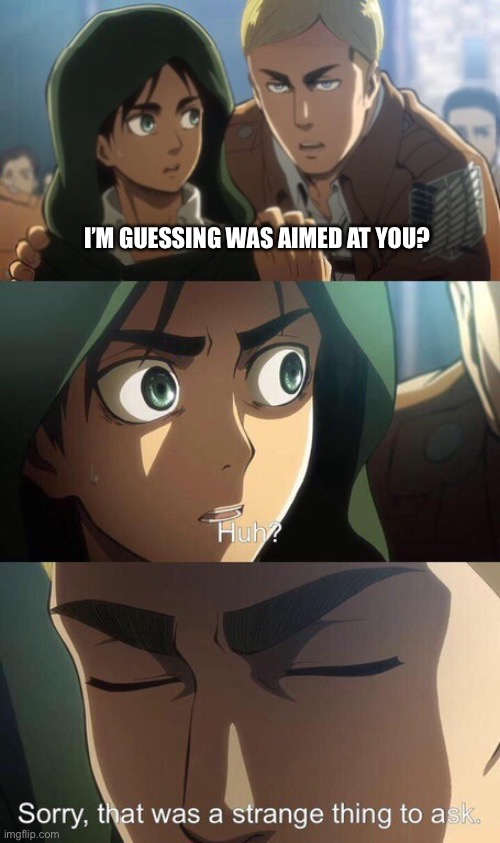 Strange question attack on titan | I’M GUESSING WAS AIMED AT YOU? | image tagged in strange question attack on titan | made w/ Imgflip meme maker