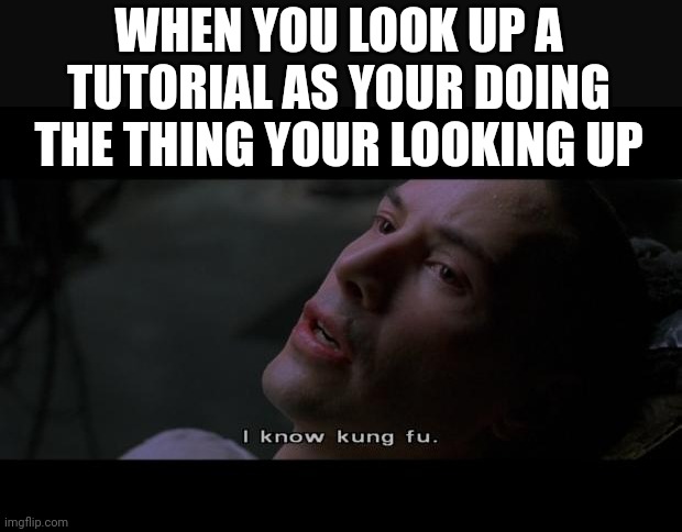 Matrix | WHEN YOU LOOK UP A TUTORIAL AS YOUR DOING THE THING YOUR LOOKING UP | image tagged in matrix neo i know | made w/ Imgflip meme maker