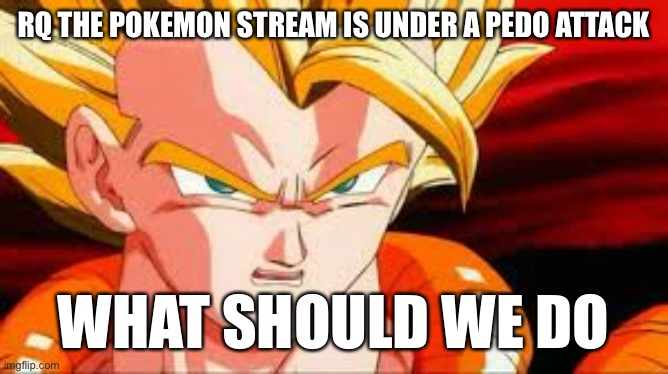 From what i know | RQ THE POKEMON STREAM IS UNDER A PEDO ATTACK; WHAT SHOULD WE DO | image tagged in super gogeta | made w/ Imgflip meme maker