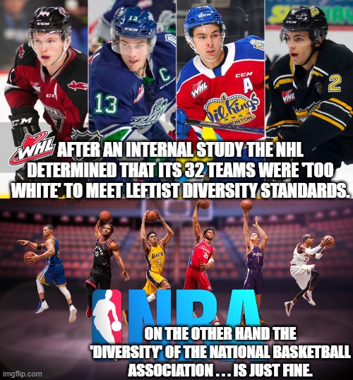 If it weren't for double standards, leftists would have no standards at all. | AFTER AN INTERNAL STUDY THE NHL DETERMINED THAT ITS 32 TEAMS WERE 'TOO WHITE' TO MEET LEFTIST DIVERSITY STANDARDS. ON THE OTHER HAND THE 'DIVERSITY' OF THE NATIONAL BASKETBALL ASSOCIATION . . . IS JUST FINE. | image tagged in double standards | made w/ Imgflip meme maker